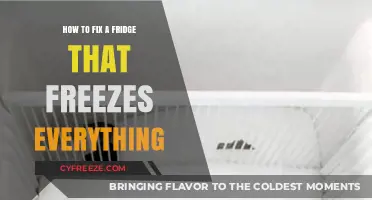 Chill No More: Troubleshooting Your Overly Cold Refrigerator