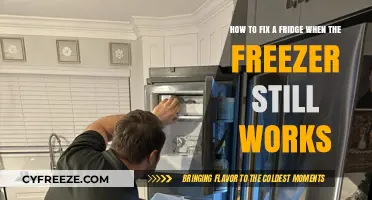 Chill Solution: Troubleshooting Your Fridge When the Freezer's Fine