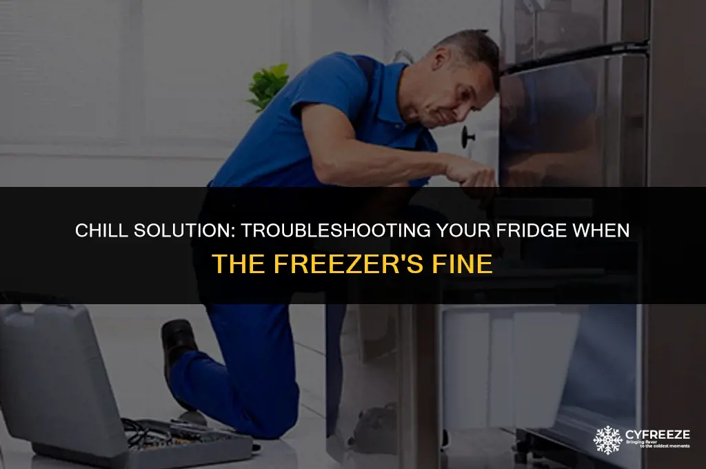 how to fix a fridge when the freezer still works