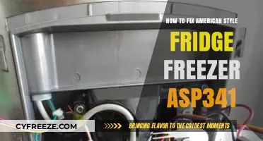 Troubleshooting and Repairing Your American Style Fridge Freezer ASP341