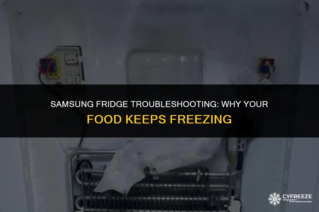 how to fix samsung fridge freezing food