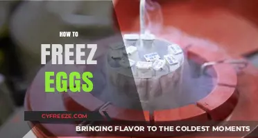 The Ultimate Guide to Freezing Eggs for Future Use
