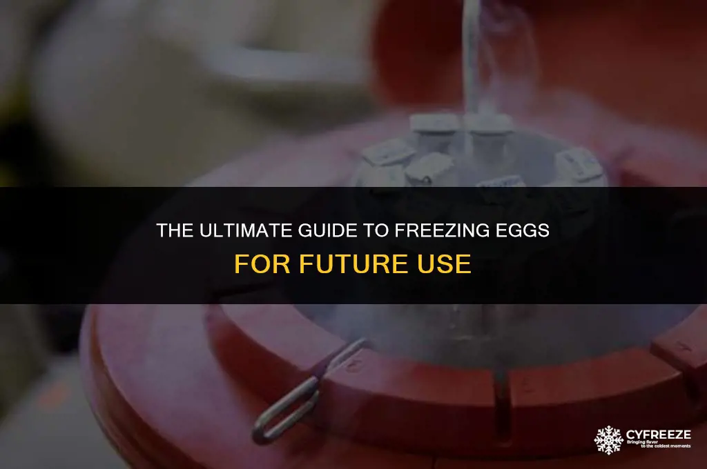 how to freez eggs