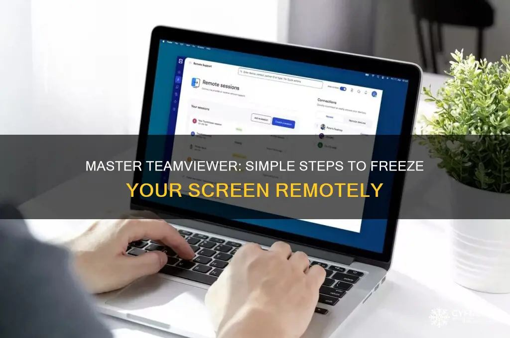 how to freeze a screen using teamviewer