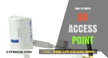 Effective Techniques to Freeze and Disable an Access Point Securely