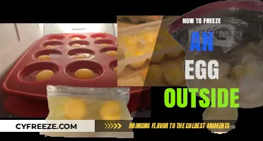 Egg-cellent Outdoor Hack: How to Freeze Eggs in Nature