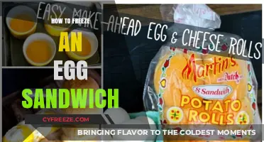 The Ultimate Guide to Freezing Your Egg Sandwich for Later