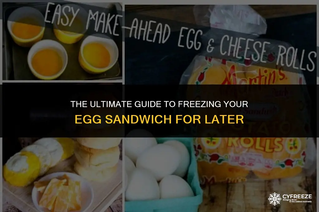 how to freeze an egg sandwich