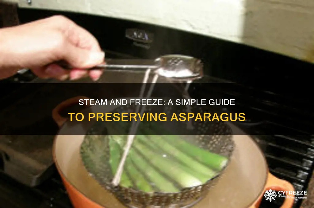 how to freeze aspargus using the steam method