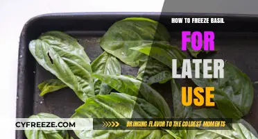 Preserve Fresh Basil: Simple Freezing Techniques for Year-Round Flavor