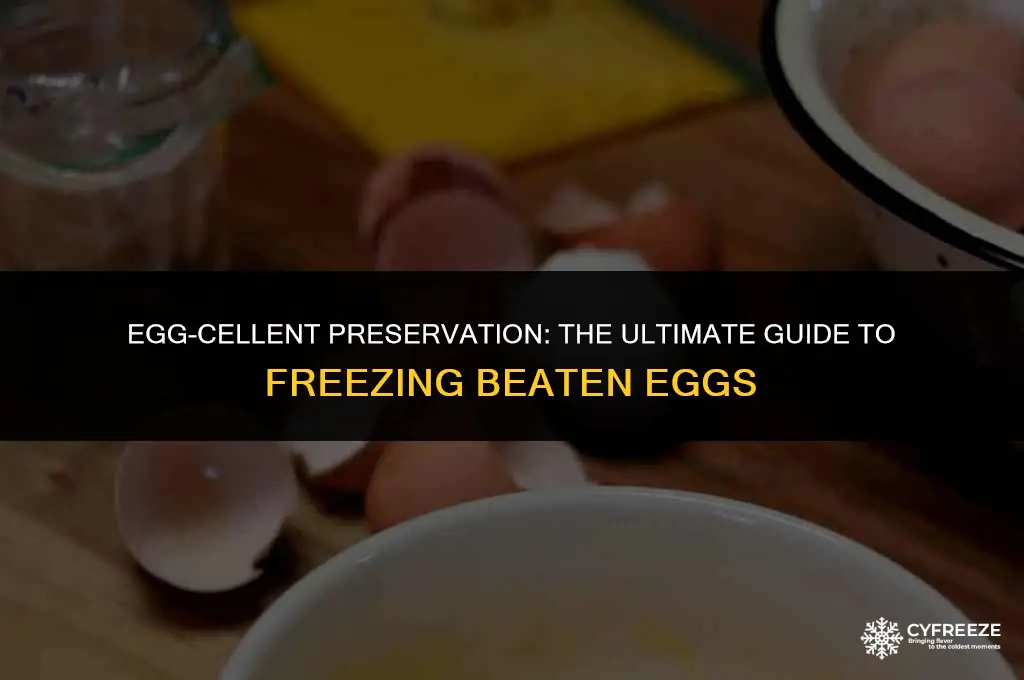 how to freeze beaten eggs