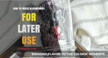 Preserve Summer's Bounty: Easy Guide to Freezing Blackberries for Later