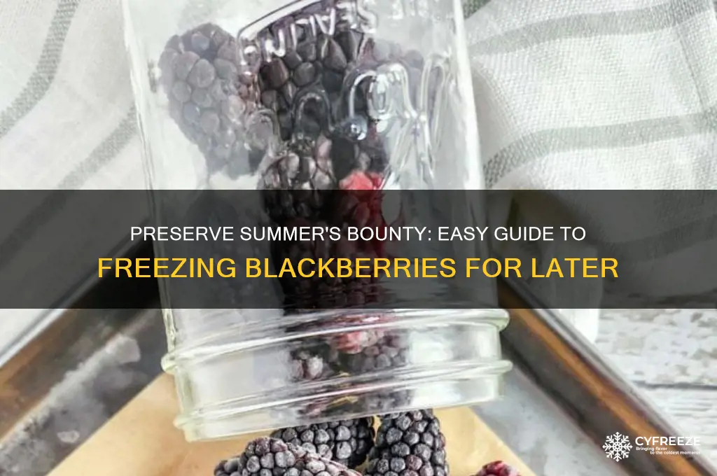 how to freeze blackberries for later use