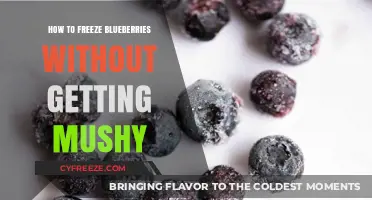 Perfectly Preserve Blueberries: Avoid Mushy Results with Simple Freezing Tips