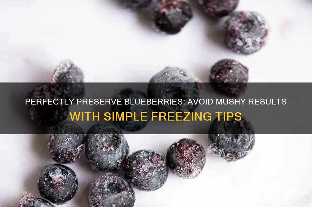 how to freeze blueberries without getting mushy