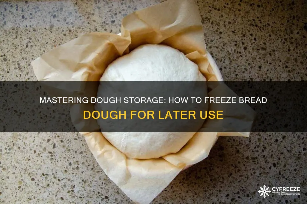 how to freeze bread dough for later use