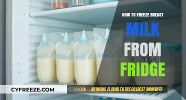 A Comprehensive Guide to Safely Freezing Breast Milk from the Fridge