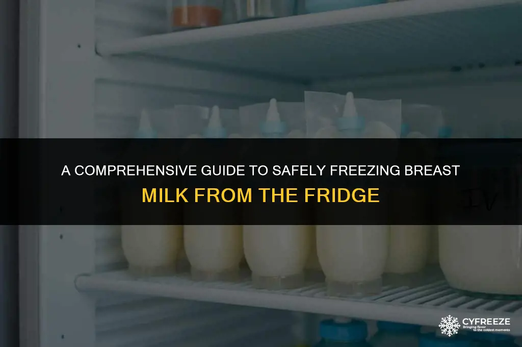 how to freeze breast milk from fridge