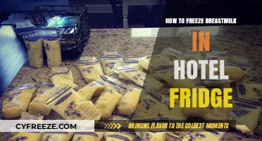 Traveling Moms: Tips for Freezing Breastmilk in Hotel Fridges