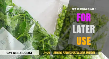 Easy Guide to Freezing Celery for Freshness and Convenience