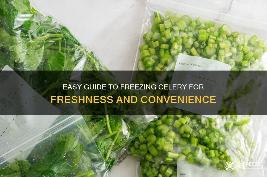 how to freeze celery for later use