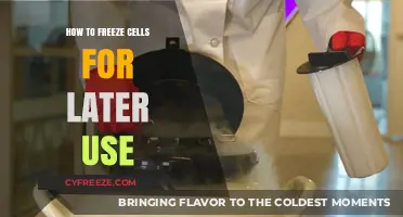 Mastering Cell Preservation: A Guide to Freezing Cells for Future Research