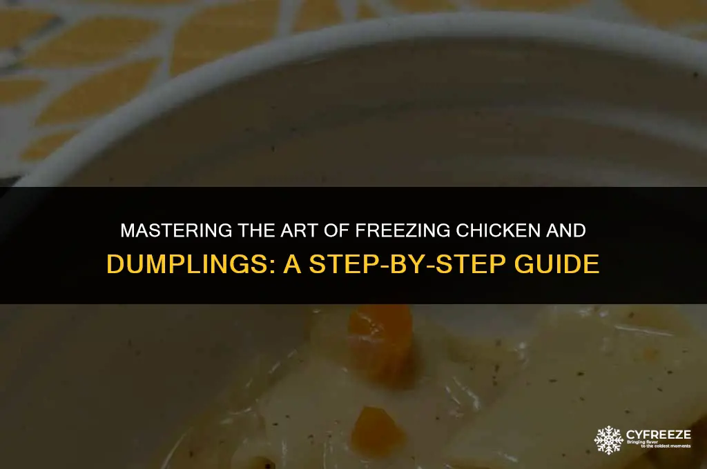how to freeze chicken and dumplings