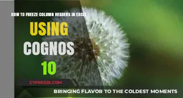 Freeze Excel Column Headers with Cognos 10: A Step-by-Step Guide