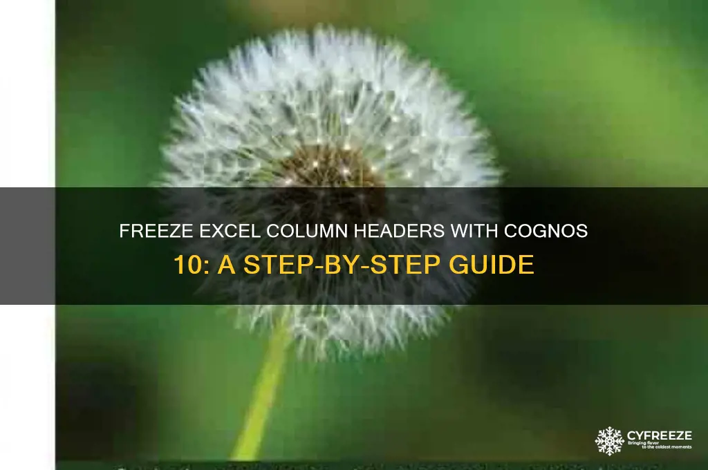 how to freeze column headers in excel using cognos 10
