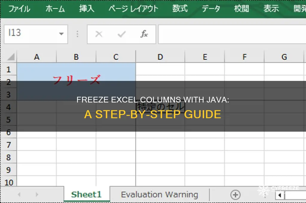 how to freeze column in excel using java