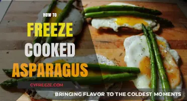 Preserve the Flavor: A Guide to Freezing Cooked Asparagus