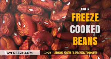 Preserve Your Beans: A Guide to Freezing Cooked Beans for Later Use