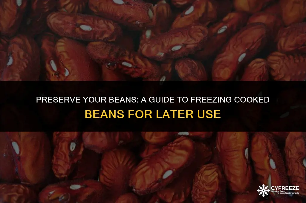 how to freeze cooked beans