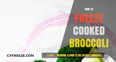 Preserve the Green: A Simple Guide to Freezing Cooked Broccoli