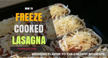 Preserve Your Lasagna: A Guide to Freezing Cooked Lasagna