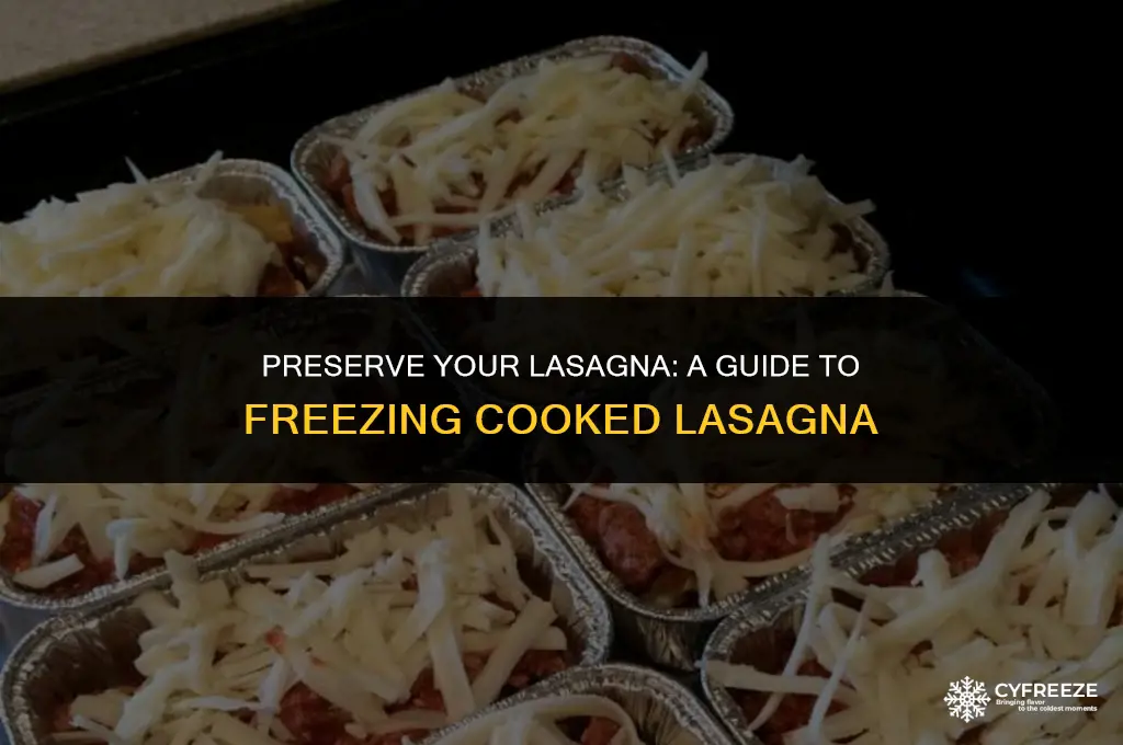 how to freeze cooked lasagna