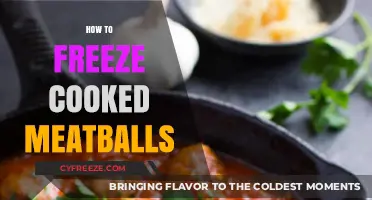 Mastering the Art of Freezing Cooked Meatballs for Perfect Preservation