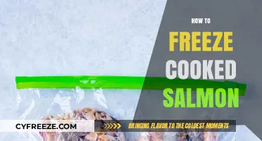 Preserving Perfection: A Guide to Freezing Cooked Salmon