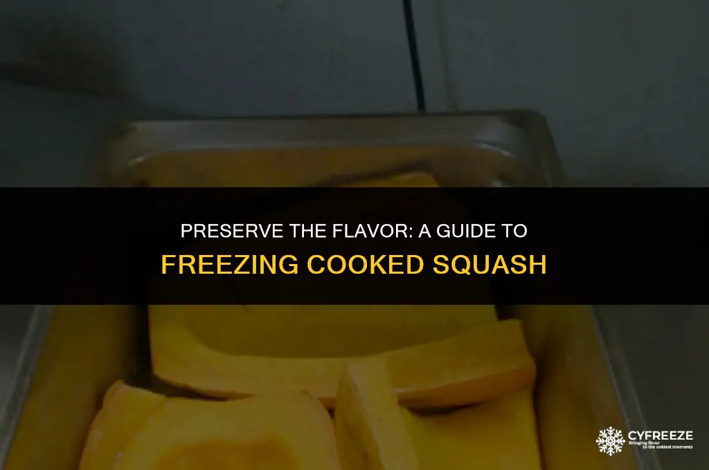 how to freeze cooked squash