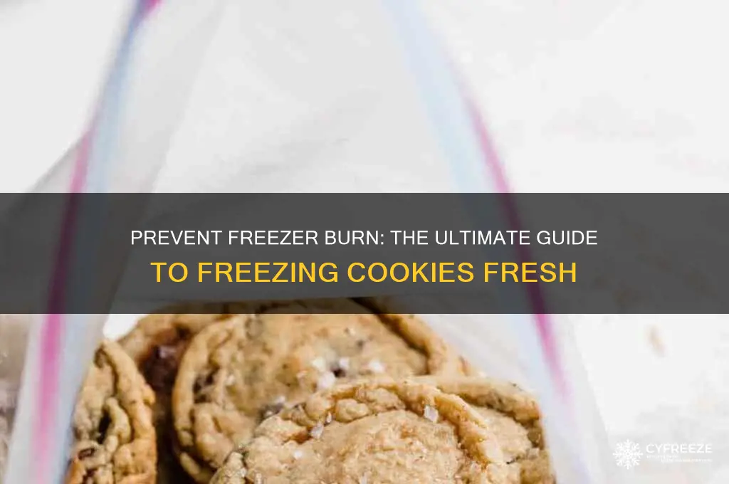 how to freeze cookies so they don
