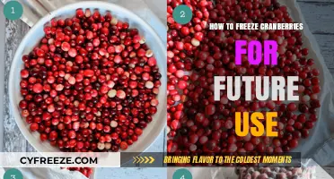Preserve Freshness: Easy Steps to Freeze Cranberries for Later Use