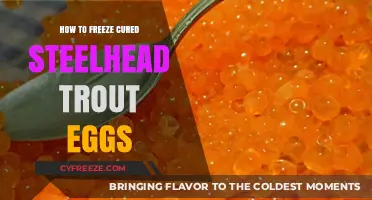 Preserving Perfection: A Guide to Freezing Cured Steelhead Trout Eggs