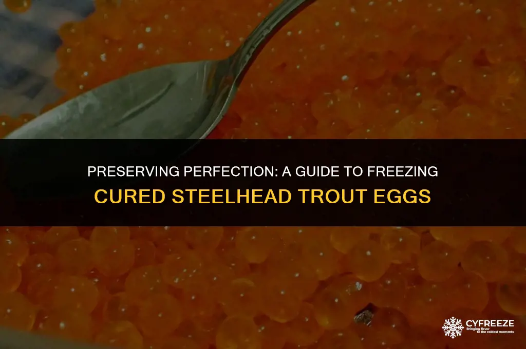 how to freeze cured steelhead trout eggs