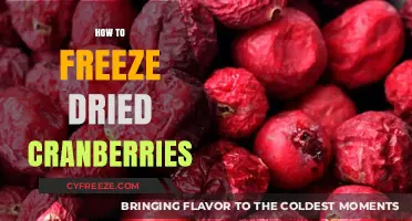 The Ultimate Guide to Freezing Dried Cranberries for Longevity