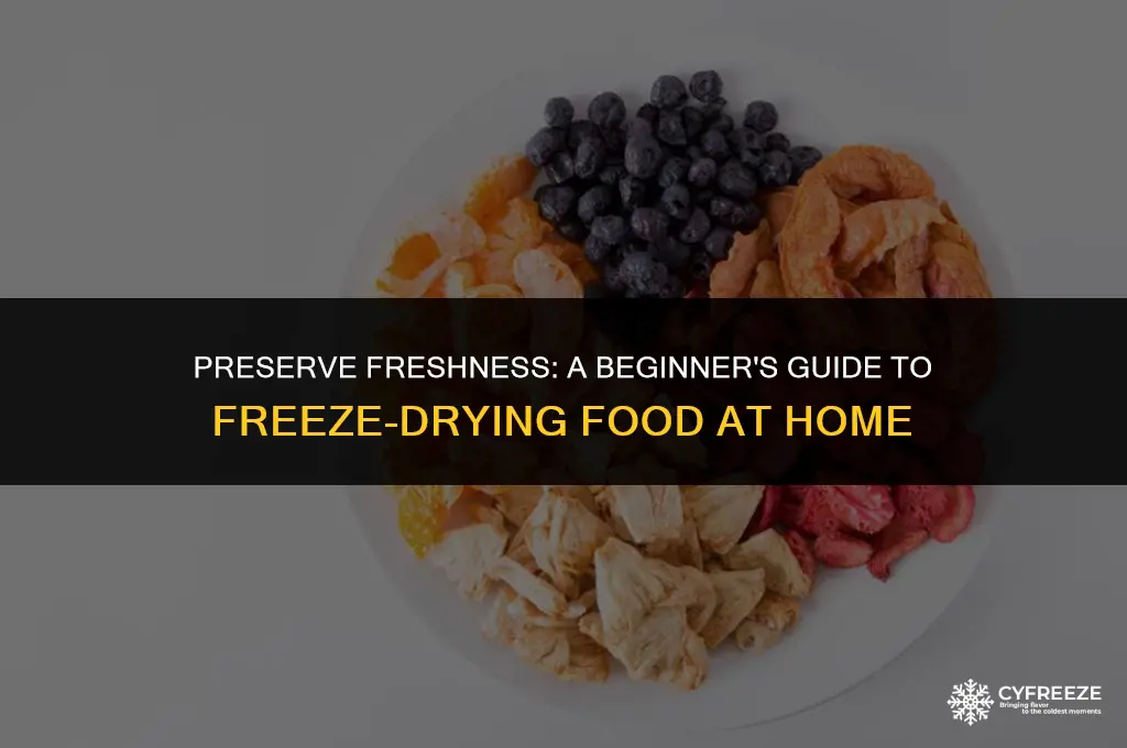 how to freeze dried food at home
