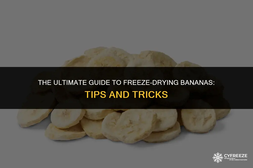 how to freeze dry bananas