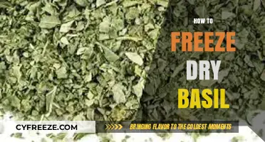 Preserving Freshness: The Ultimate Guide to Freeze-Drying Basil