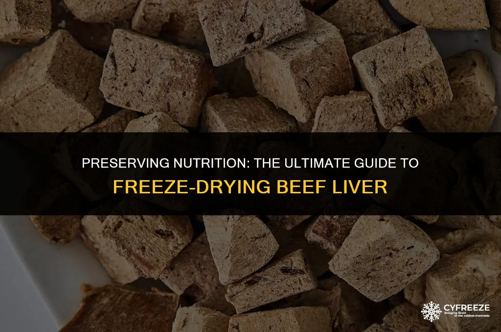 how to freeze dry beef liver