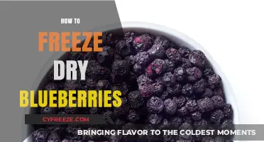 Preserve the Flavor: A Guide to Freeze-Drying Blueberries