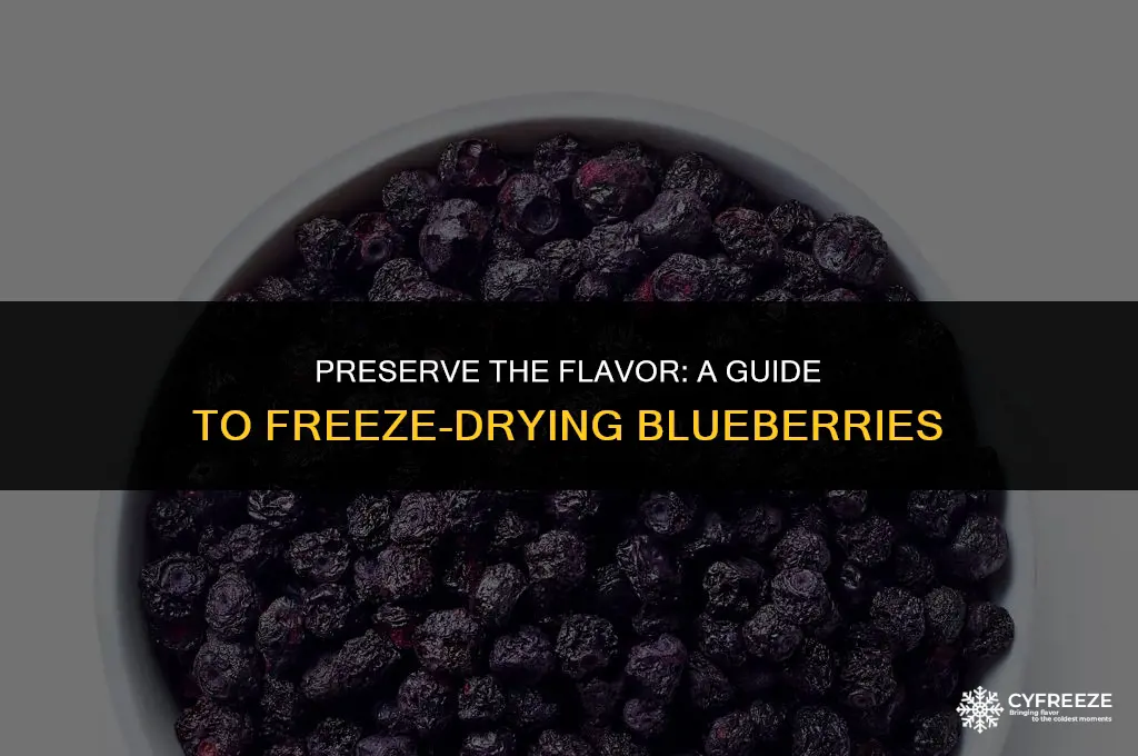 how to freeze dry blueberries